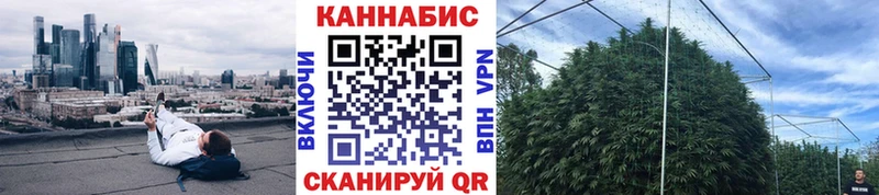 Купить наркоту Никольск Амфетамин  Меф  А ПВП  ГАШ  Бошки Шишки 