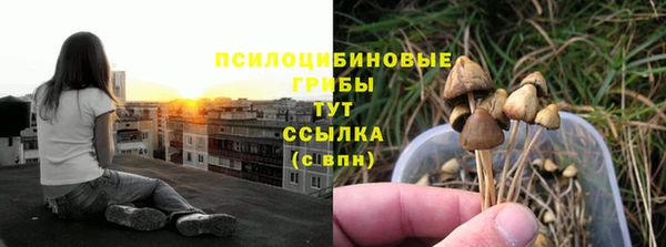 сатива Ладушкин