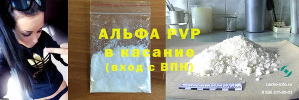 сатива Ладушкин