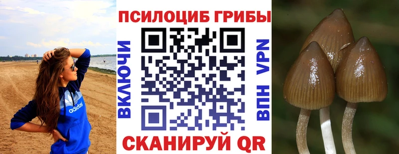 Псилоцибиновые грибы ЛСД  наркошоп  hydra ссылка  Никольск 